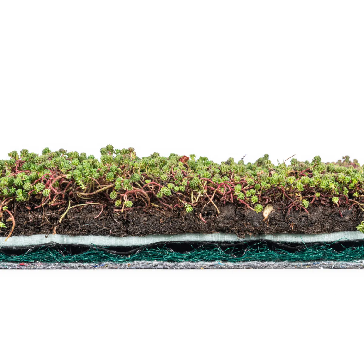 AboutGreen Dachbegrünung Roll und Go Dachneigung 1-5