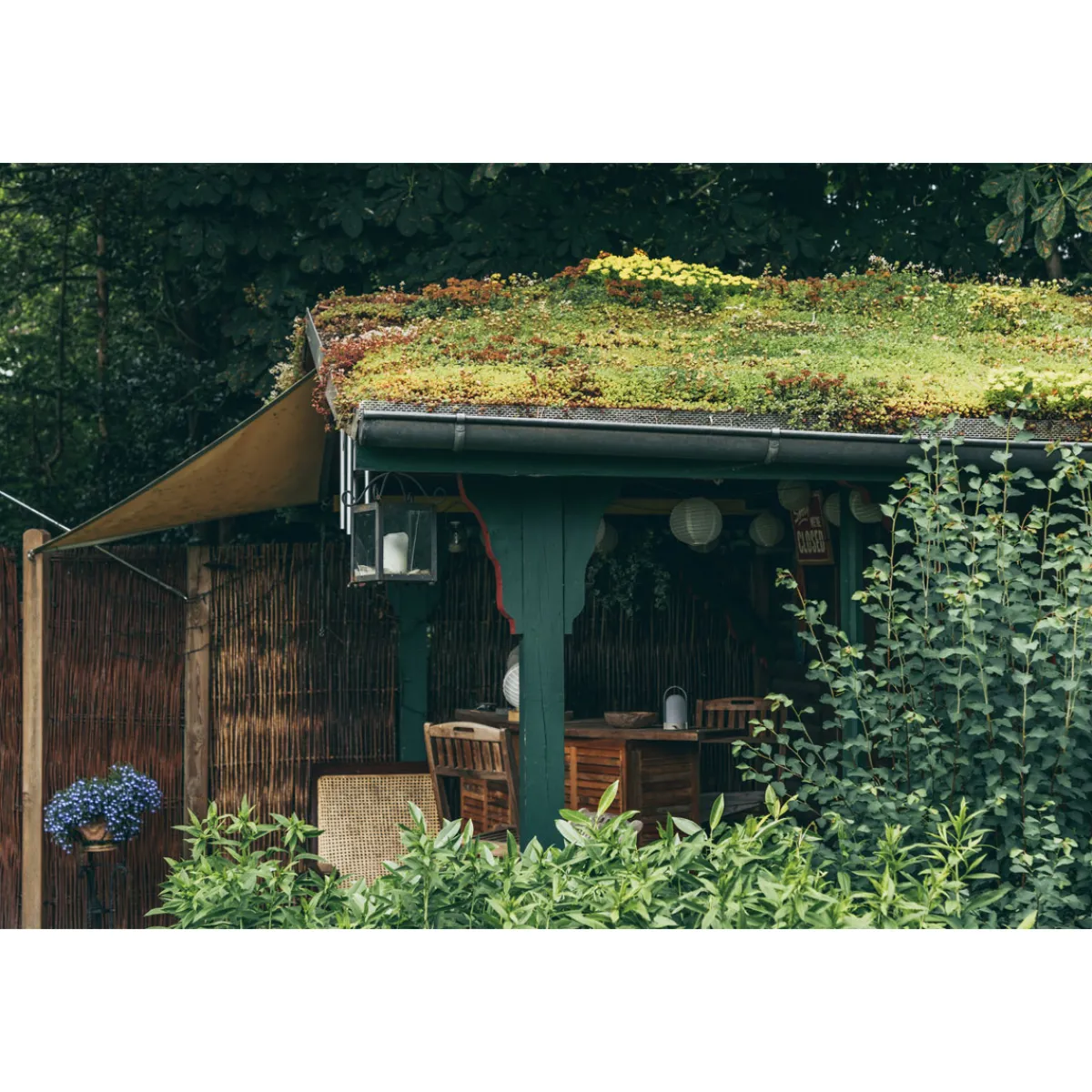 AboutGreen Dachbegrünung Roll und Go Dachneigung 1-5