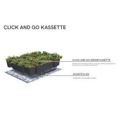 AboutGreen Gründachsystem Click und Go bis 15 Dachneigung 45 x 49,5 cm