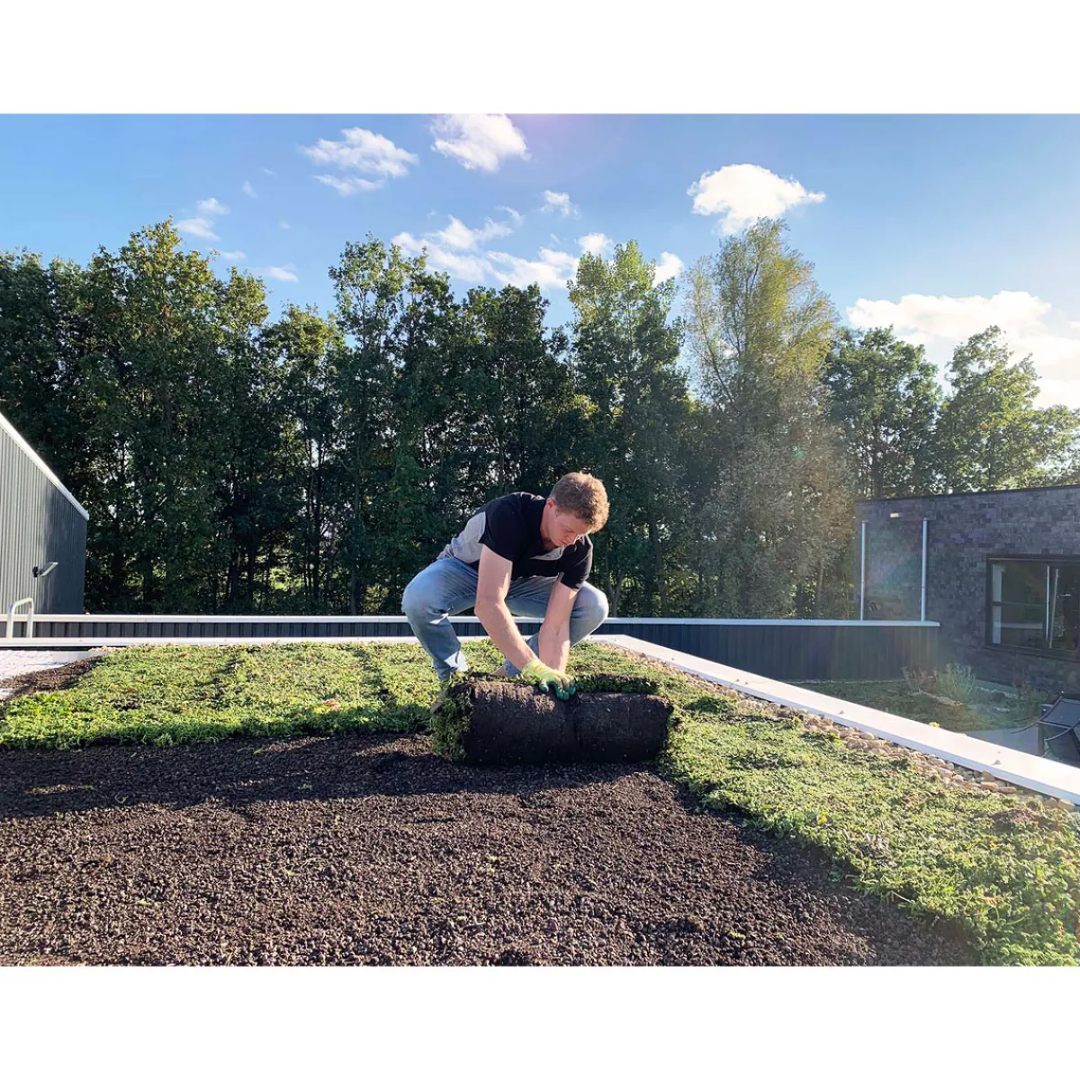 AboutGreen Gründachsystem Aromadach bis 10 Dachneigung 1 m²