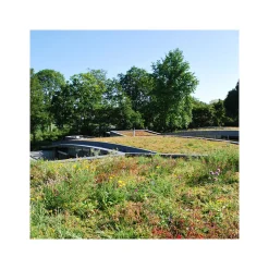 AboutGreen Gründachsystem Aromadach bis 10 Dachneigung 1 m²