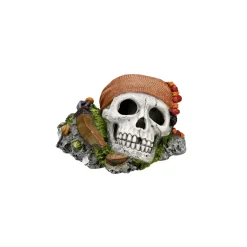 Aqua Ornaments Piraten Totenkopf 14,5 x 12,5 x 8,5 cm* Online