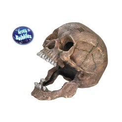 Aqua Ornaments Totenkopf 13,5 x 20 x 16,5 cm^ Outlet