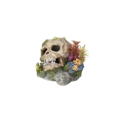 Aqua Ornaments Totenkopf mit Pflanzen 13,5 x 13,5 x 10,5 cm^ New