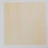Bastel-Sperrholzplatte Pappel 29,7 x 21 cm DIN A4 5 Stück