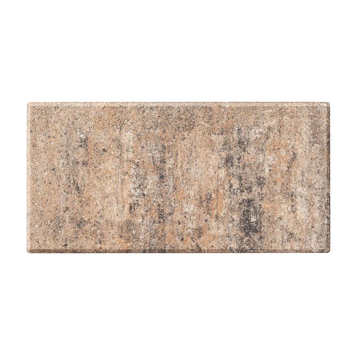 Terrassenplatte No. 1 Light muschelkalk 40 x 20 x 4 cm*Diephaus Outlet