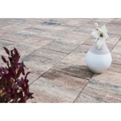 Terrassenplatte No 1 Nature 60 x 30 x 4 cm Muschelbeige*Diephaus Clearance