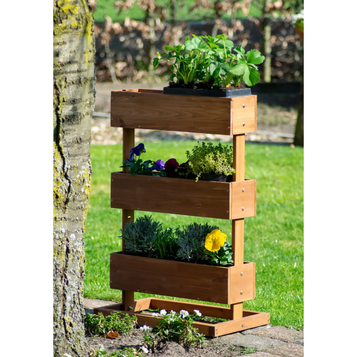 Vertikalbeet 49,5 x 78 x 30 cm braun^dobar Sale