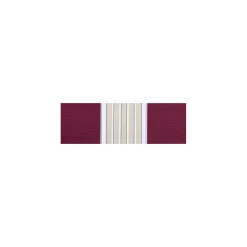 Durabil Gelenkarm-Markise Nizza 400 x 250 cm für Wand- und Deckenmontage Stoff 23064
