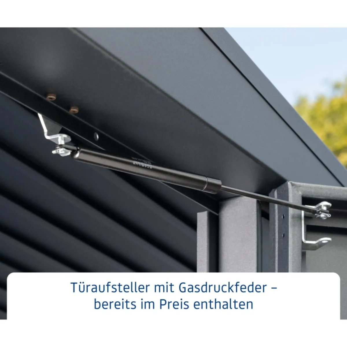 EcoStar Gerätehaus Elegant-PTyp 2RAL5014 1 flg