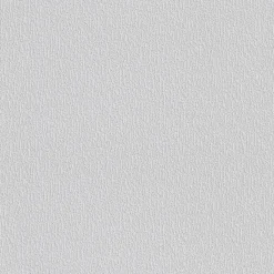 Erfurt Vliesfaser Protect 202 weiß 1005 x 53 cm
