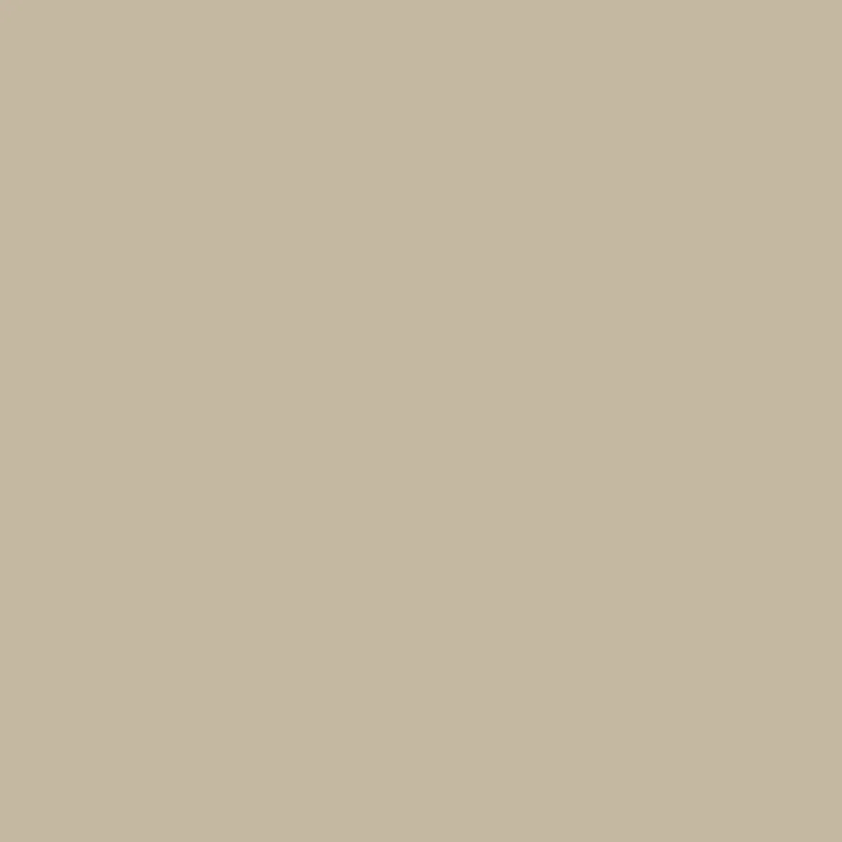 Flächenvorhang Stoff Entry 60 x 245 cm taupe^Gardinia Best