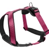 Hundegeschirr Neopren himbeer-schwarz Größe M2*Hunter
