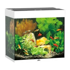 Aquarium Lido 120 weiß^Juwel Hot