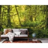 Vlies Fototapete Ancient World 400x250 cm*Komar Hot