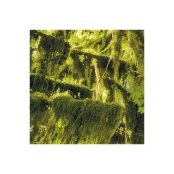 Vlies Fototapete Ancient World 400x250 cm*Komar Hot
