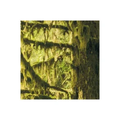Vlies Fototapete Ancient World 400x250 cm*Komar Hot