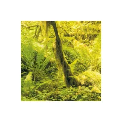 Vlies Fototapete Ancient World 400x250 cm*Komar Hot