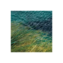 Vlies Fototapete Breath Taking 400x250 cm^Komar Sale