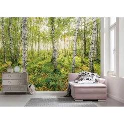 Vlies Fototapete Birch Trees 400x250 cm^Komar Sale
