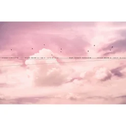 Vlies Fototapete Cloud Wire 400x250 cm^Komar Online