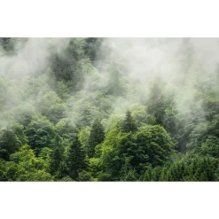 Vlies Fototapete Forest Land 400x250 cm*Komar Sale