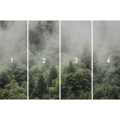 Komar Vlies Fototapete Forest Land 400x250 cm