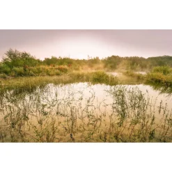Komar Vlies Fototapete Morning View II 400x250 cm