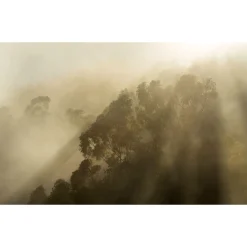Vlies Fototapete Misty Mountain 400x250 cm^Komar Hot