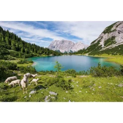 Komar Vlies Fototapete Paradise Lake 400x250 cm