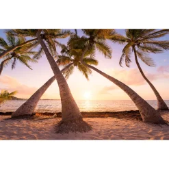 Vlies Fototapete Reaching the Sun 400x250 cm^Komar Hot