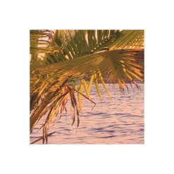 Vlies Fototapete Reaching the Sun 400x250 cm^Komar Hot