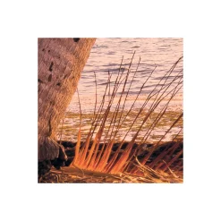 Vlies Fototapete Reaching the Sun 400x250 cm^Komar Hot