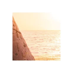 Vlies Fototapete Reaching the Sun 400x250 cm^Komar Hot