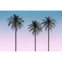 Vlies Fototapete Skyhigh 400x250 cm^Komar
