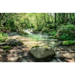 Vlies Fototapete Tranquil Pool 400x250 cm^Komar Best