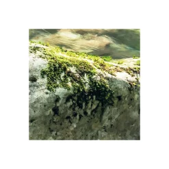 Vlies Fototapete Tranquil Pool 400x250 cm^Komar Best