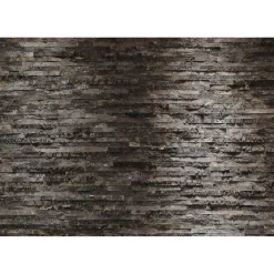 Papier-Fototapete Birkenrinde 8-teilig 368 x 254 cm^Komar Hot