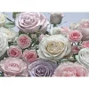 Papier-Fototapete Floraison 8-teilig 368 x 254 cm^Komar Outlet