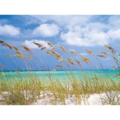 Komar Papier-Fototapete Ocean Breeze 8-teilig 368 x 254 cm