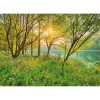 Komar Papier-Fototapete Spring Lake 8-teilig 368 x 254 cm