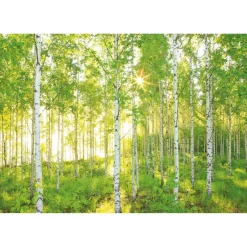 Papier-Fototapete Sunday 8-teilig 368 x 254 cm^Komar Hot