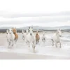 Papier-Fototapete White Horses 8-teilig 368 x 254 cm*Komar Discount