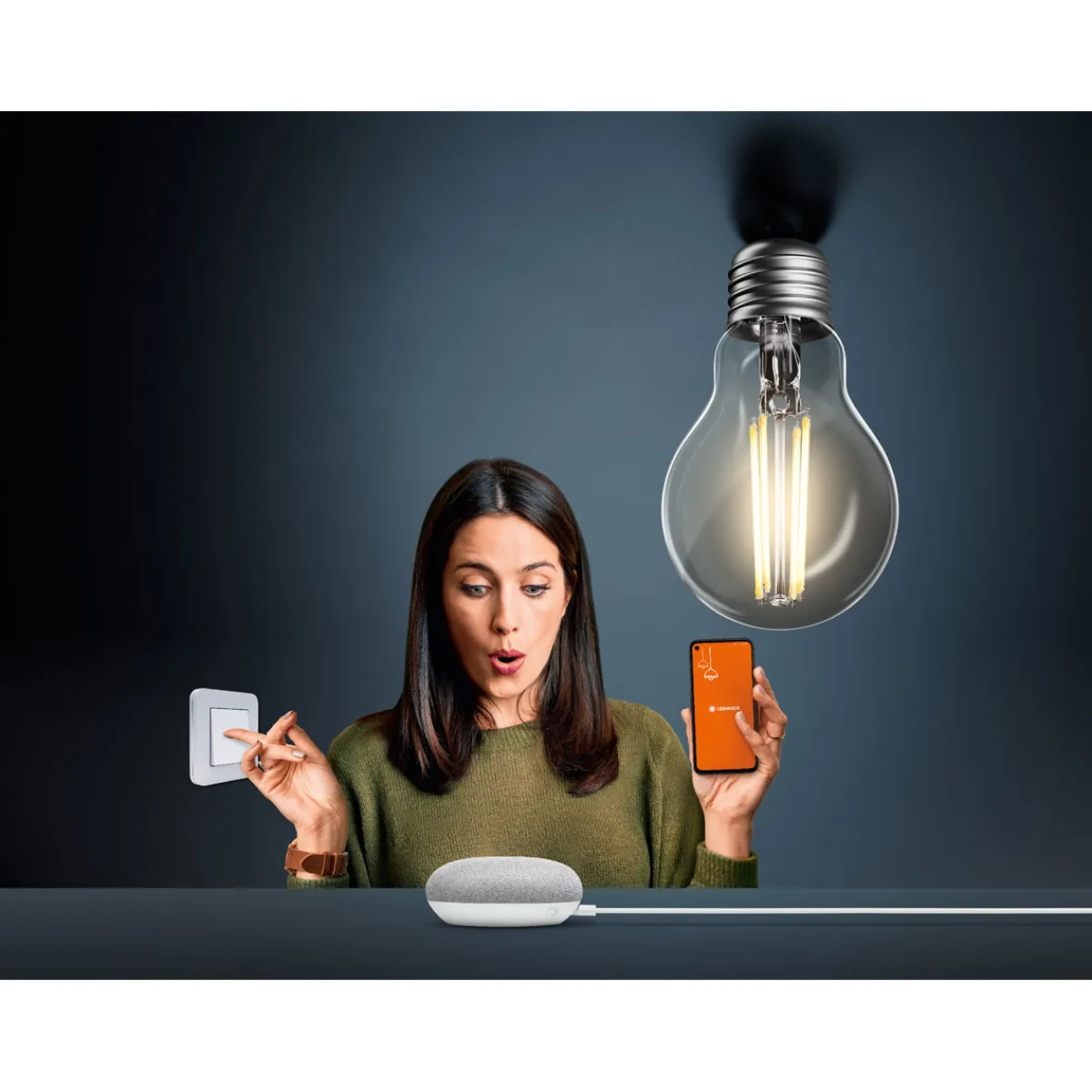 LED-Leuchtmittel VolksLicht E27 smart dimmbar*Ledvance SMART+ Outlet