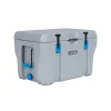 Kühlbox Premium 73 L 47x76x47cm Grau^Lifetime New