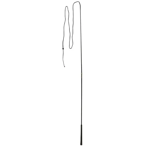 Longierpeitsche zweiteilig 180 cm schwarz^