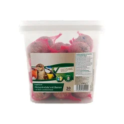Meisenknödel mit Beeren 30er-Pack*Champs Sale