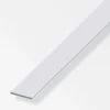 Flachstange 50 x 3 cm 1m silber^MyTool Online