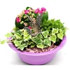 Bepflanzte Gefäße mit Oster-Deko^Plantiflor Outlet