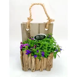 Plantiflor Bepflanztes Gefäß 20 x 12 cm Wandhänger
